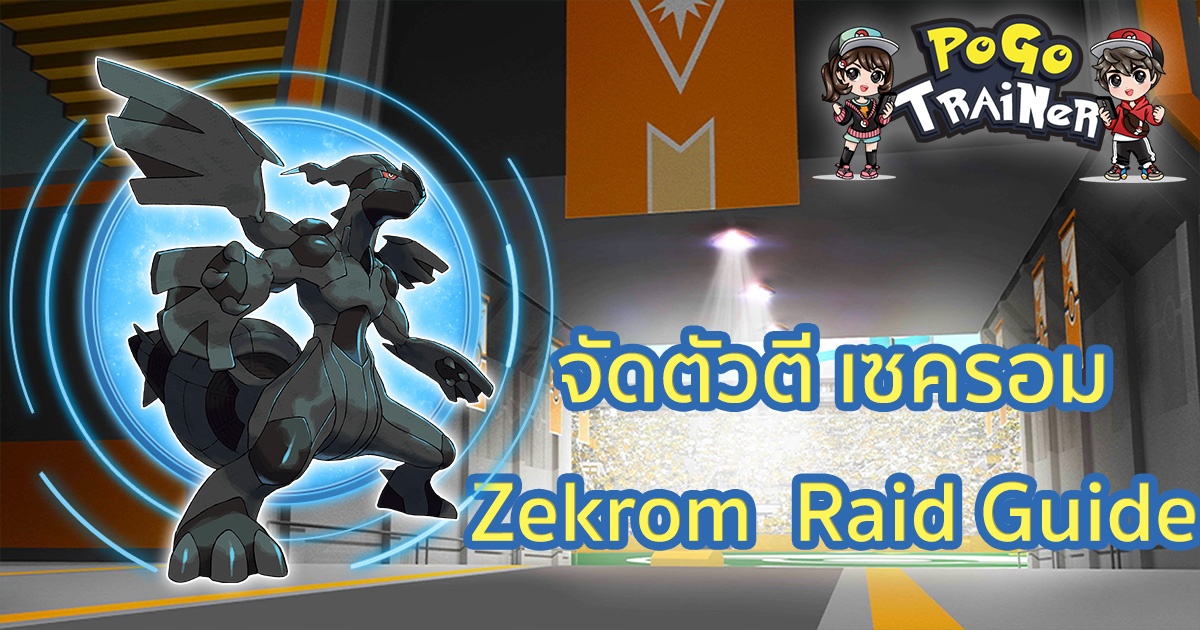 จัดตัวตี เซครอม Zekrom  Raid Guide